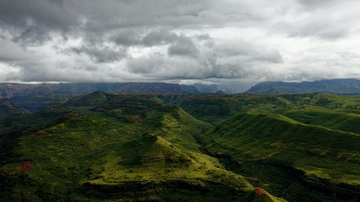 Stunning aerial view of lush green Waimea Canyon under cloudy skies in Hawaii, USA.