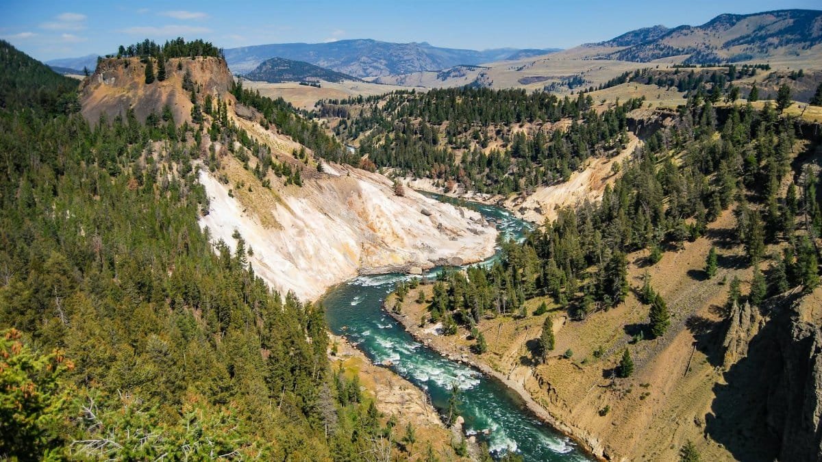Breathtaking view of a canyon river in Yellowstone National Park under a blue sky.