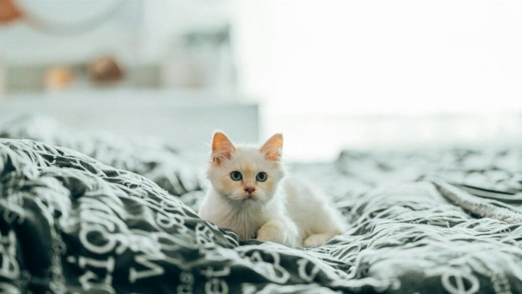 8 Body-Scan Scripts for Kids Under 5 Minutes - EgoEase