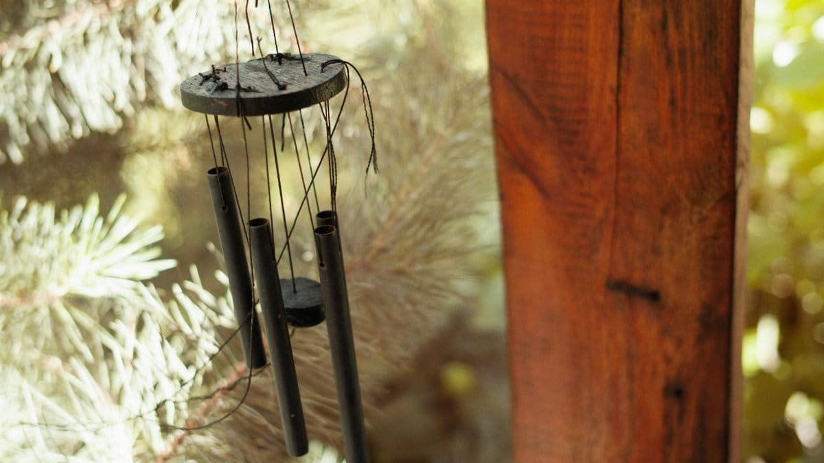 Elegant wind chimes hanging among pine branches, bathed in warm sunlight.