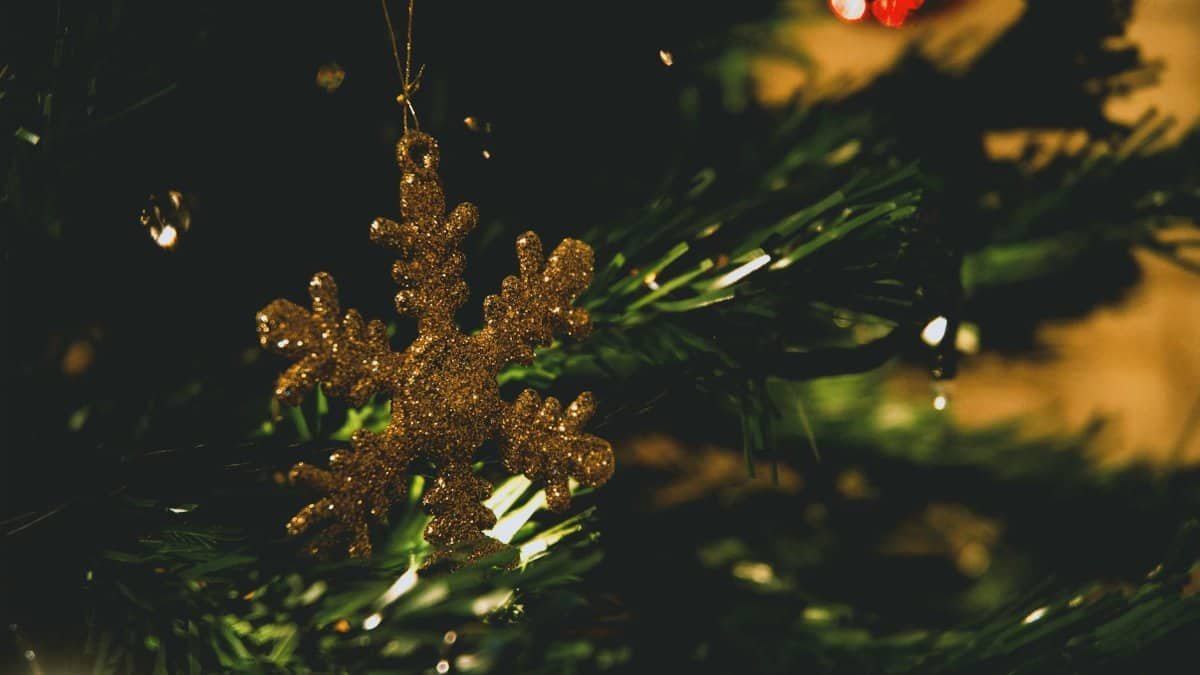 Close-up of a shimmering gold snowflake ornament hanging on a Christmas tree branch.