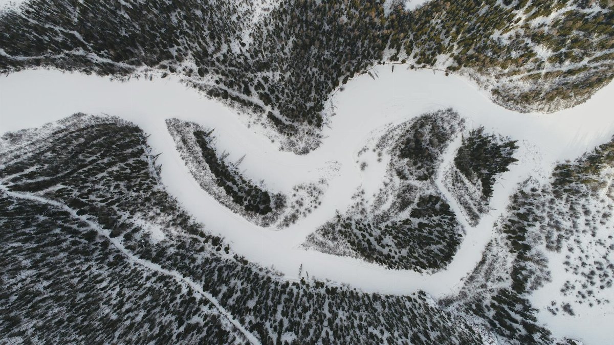 Top view of frozen river flowing through coniferous forest covered snow in winter day