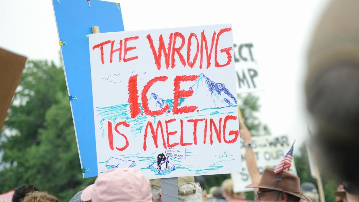 Free stock photo of ice, police