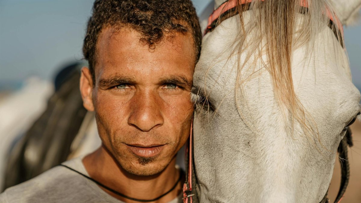 A close-up portrait of a man with a white horse in Dahab, Egypt, showcasing their connection.