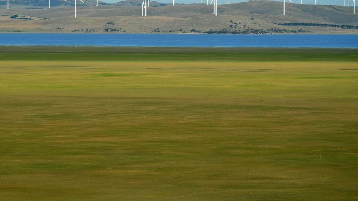 A scenic view of wind turbines near Lake George, Australia, with people walking in the green field.