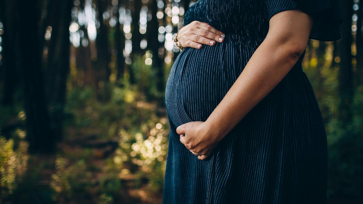 A peaceful moment of a pregnant woman embracing nature in a sunlit forest.