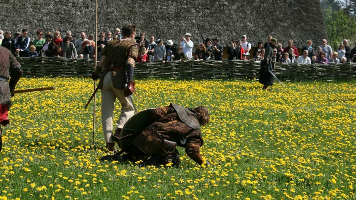 Medieval reenactment scene with performers and audience in a sunny park filled with dandelions.