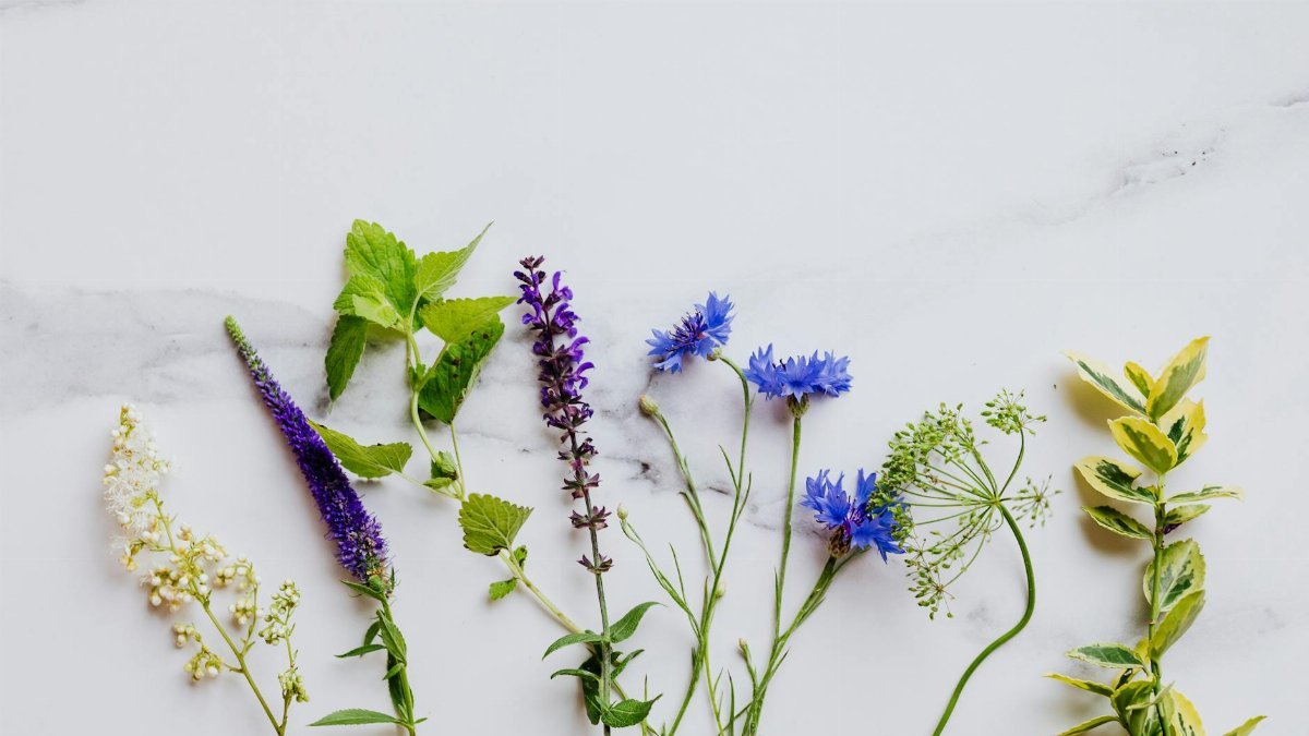 Vibrant mix of herbs and flowers laid out on a white marble background, ideal for botanical themes.