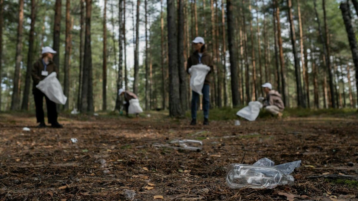 Volunteers picking up trash in a forest to promote environmental awareness and care.