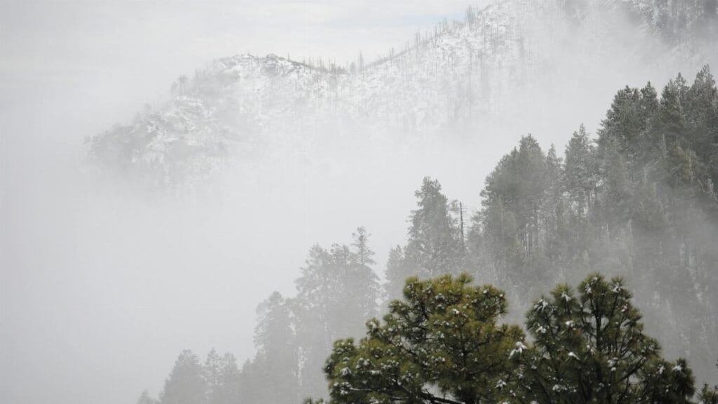 Snow-covered trees and mountains shrouded in mist on Mount Lemmon, Arizona.