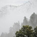 Snow-covered trees and mountains shrouded in mist on Mount Lemmon, Arizona.