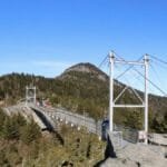 A breathtaking view of the bridge at Grandfather Mountain, NC amid lush pine trees.