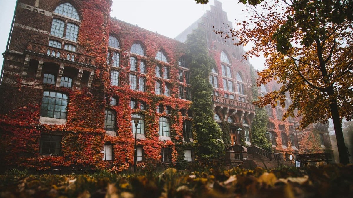 Stunning autumn view of Lund University Library with ivy-covered facade amidst morning mist.
