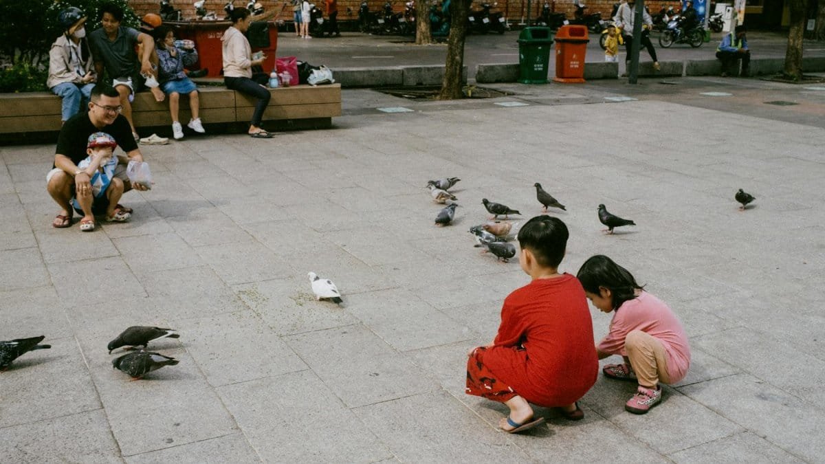 Children crouched on a city square feeding pigeons, showcasing urban life and community interaction.