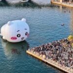 Crowds gather by the waterfront to see a giant inflatable bear.