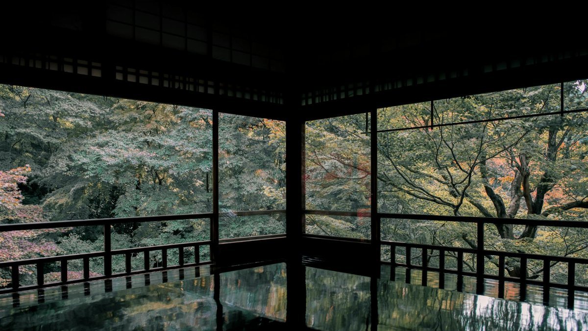 Peaceful view of lush greenery through Japanese traditional room windows with reflections.