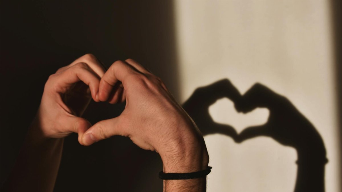 Hands forming a heart shape create an expressive shadow on a wall, concept of love and connection.