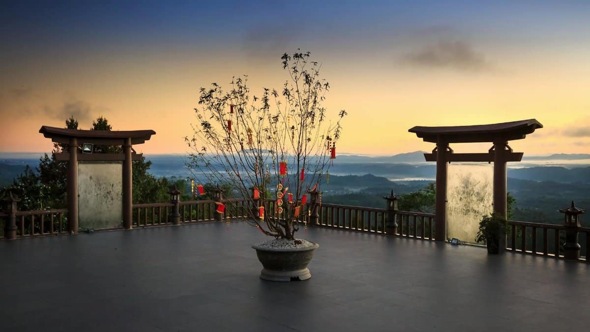 Peaceful sunset view from a temple terrace with a potted plant and scenic landscape.