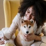 A joyful woman sitting on a yellow armchair taking a selfie with her Shiba Inu dog at home.