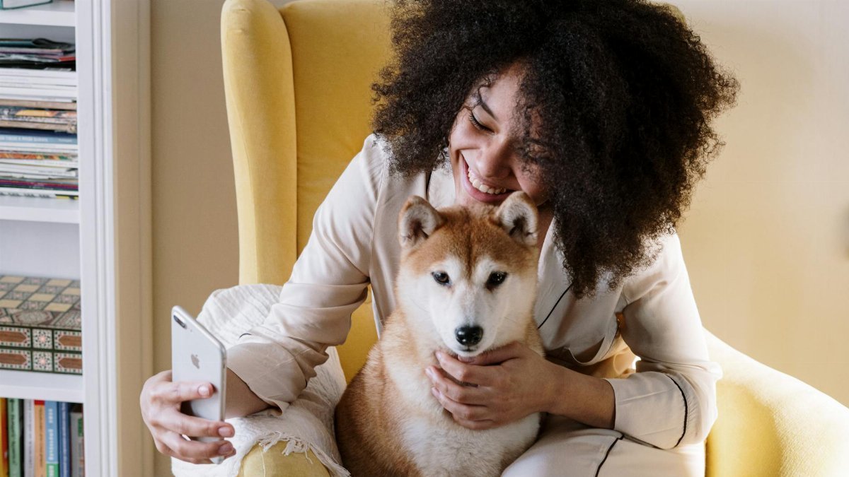 A joyful woman sitting on a yellow armchair taking a selfie with her Shiba Inu dog at home.