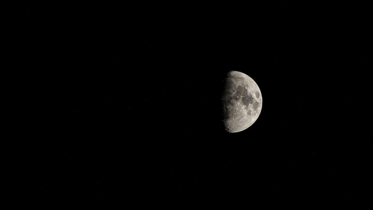 Beautiful half moon captured on a clear night, showcasing lunar craters.