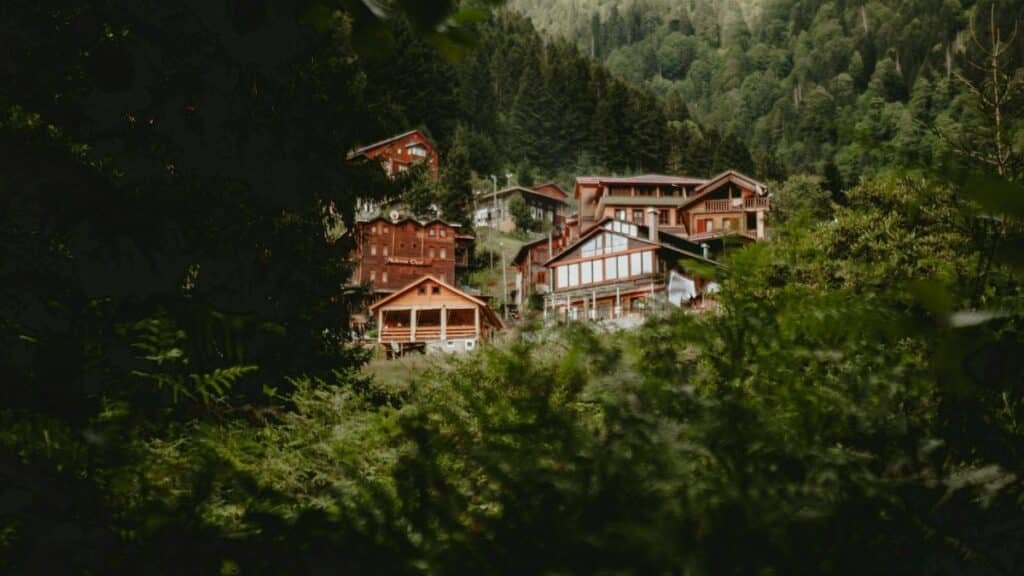 Modern wooden homes nestled in the lush green mountains of Rize, Turkey, showcasing contemporary architecture.