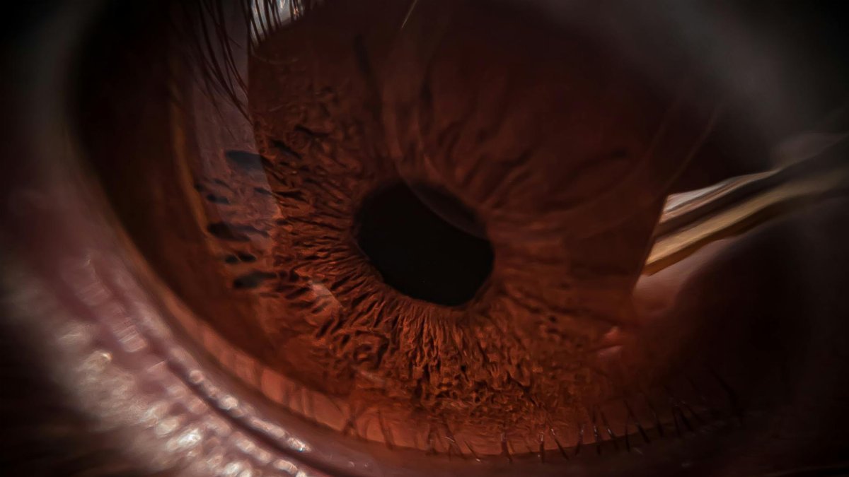 Detailed close-up image of a brown eye emphasizing the iris texture in macro photography.