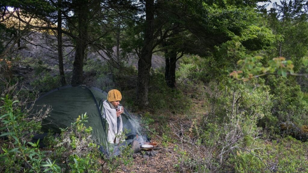 Person camping and enjoying a warm morning coffee in a serene forest setting.