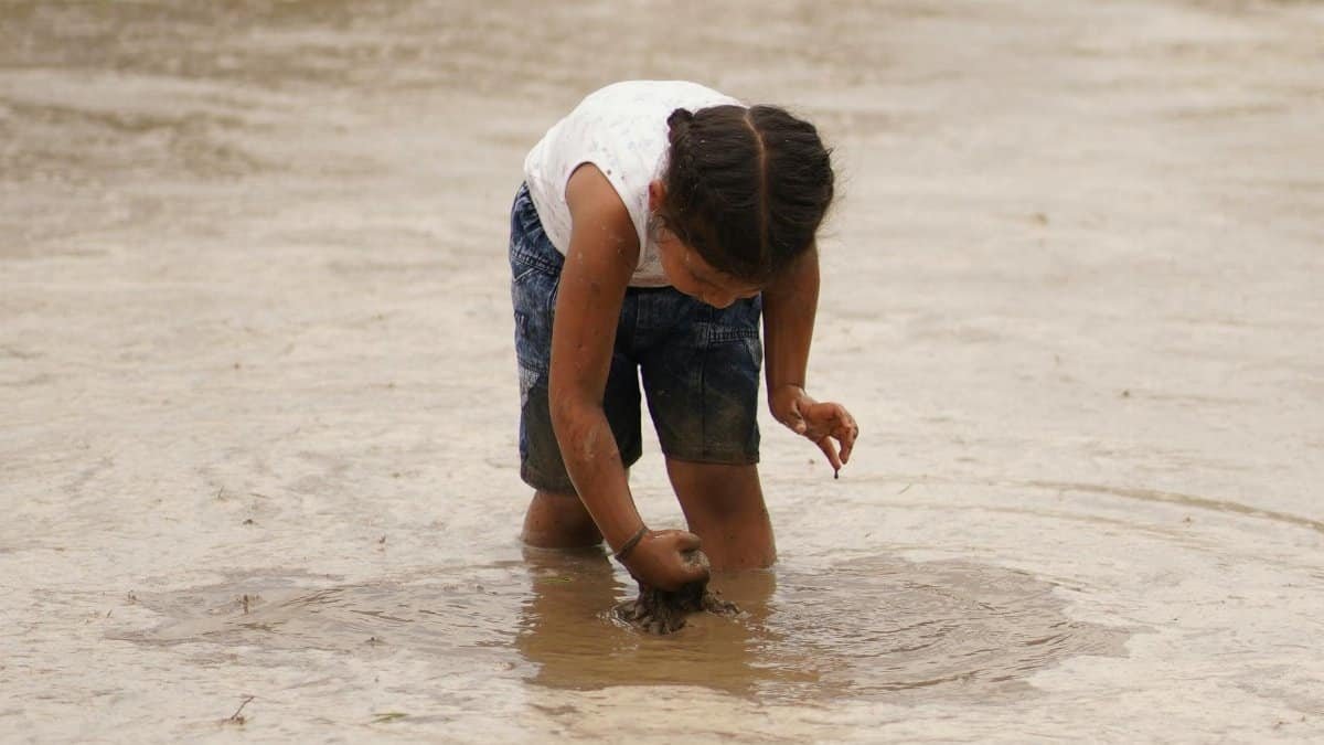 A young child exploring and playing in a mud puddle outdoors, enjoying nature.