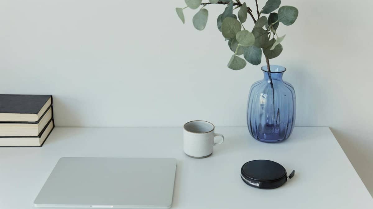 Clean minimalist desk featuring a laptop, blue vase with plant, and coffee mug.