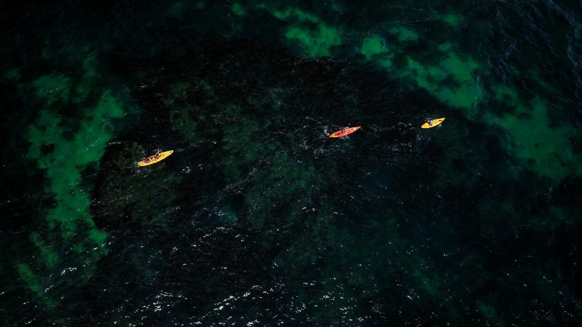 Aerial image of three kayakers navigating through dark green waters in the UK.