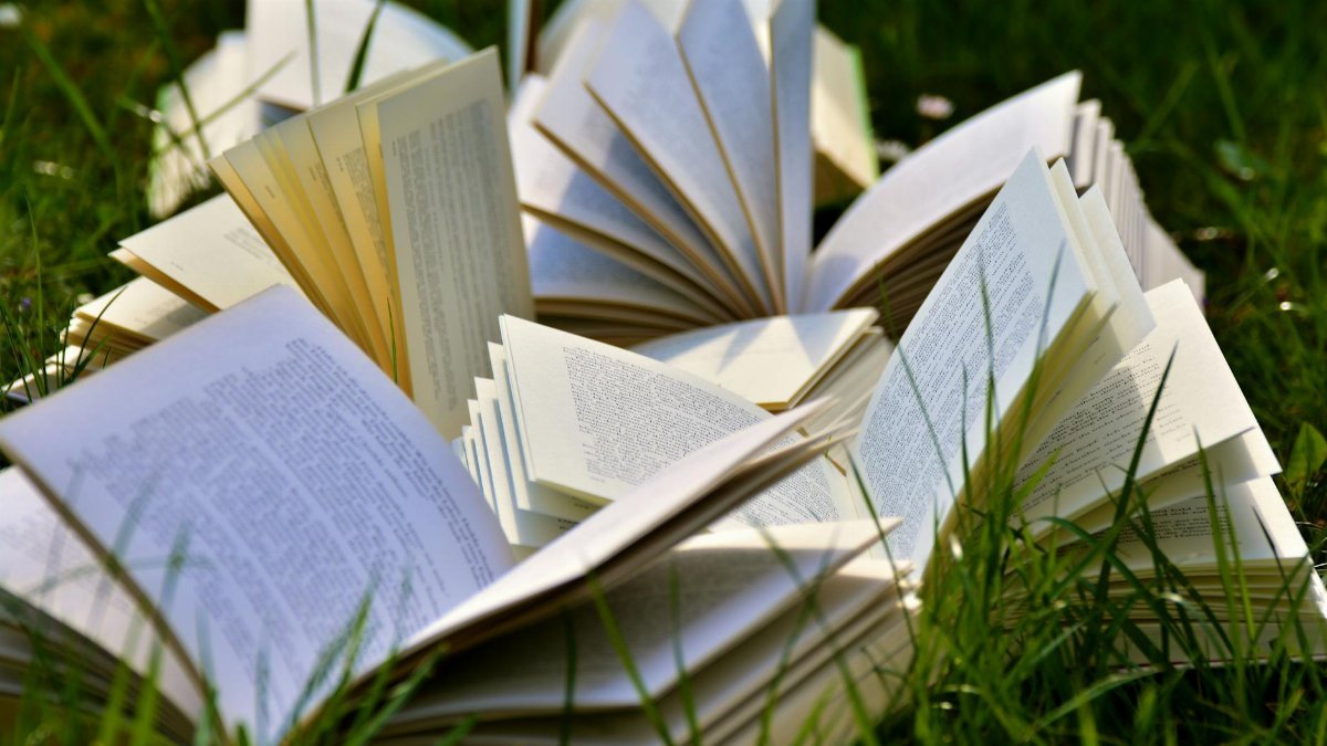 An artistic arrangement of open books in a grassy field, emphasizing a love for outdoor reading.