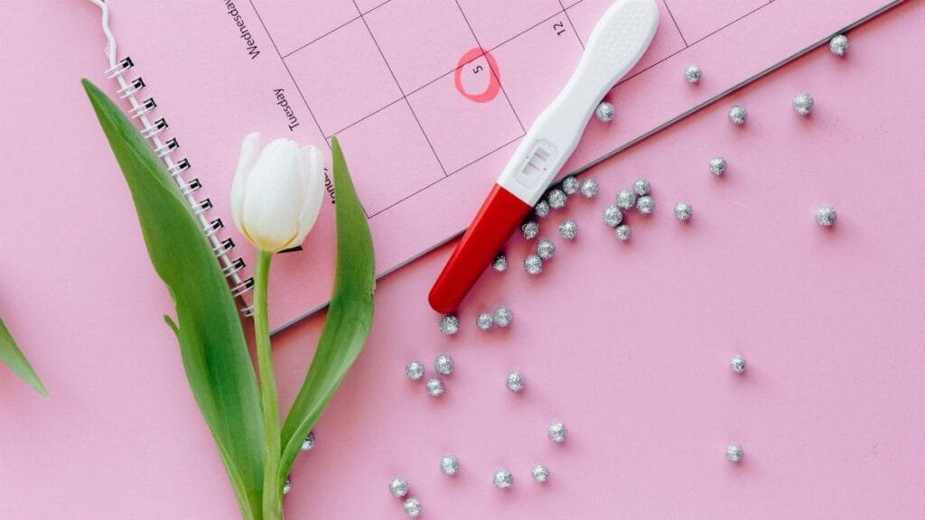 A close-up of a pregnancy test, calendar, and tulip arranged on a pink surface.