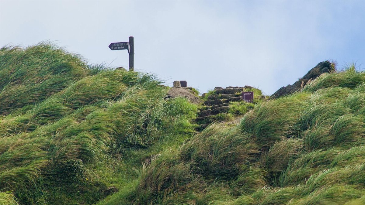 Hiking Path 40 (7-Star Mountain, Yangmingshan)