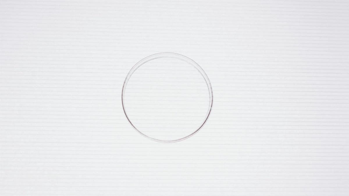 Clear petri dish placed on a white textured background, viewed from above.