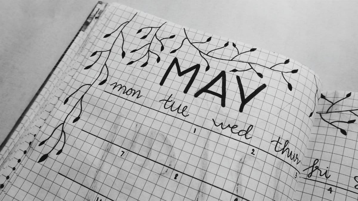 Aesthetic black and white bullet journal with hand-drawn leaves for May month planning.