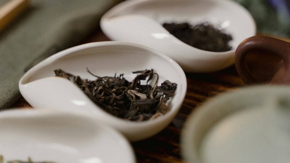 Porcelain dishes holding various loose tea leaves, highlighting traditional tea culture.