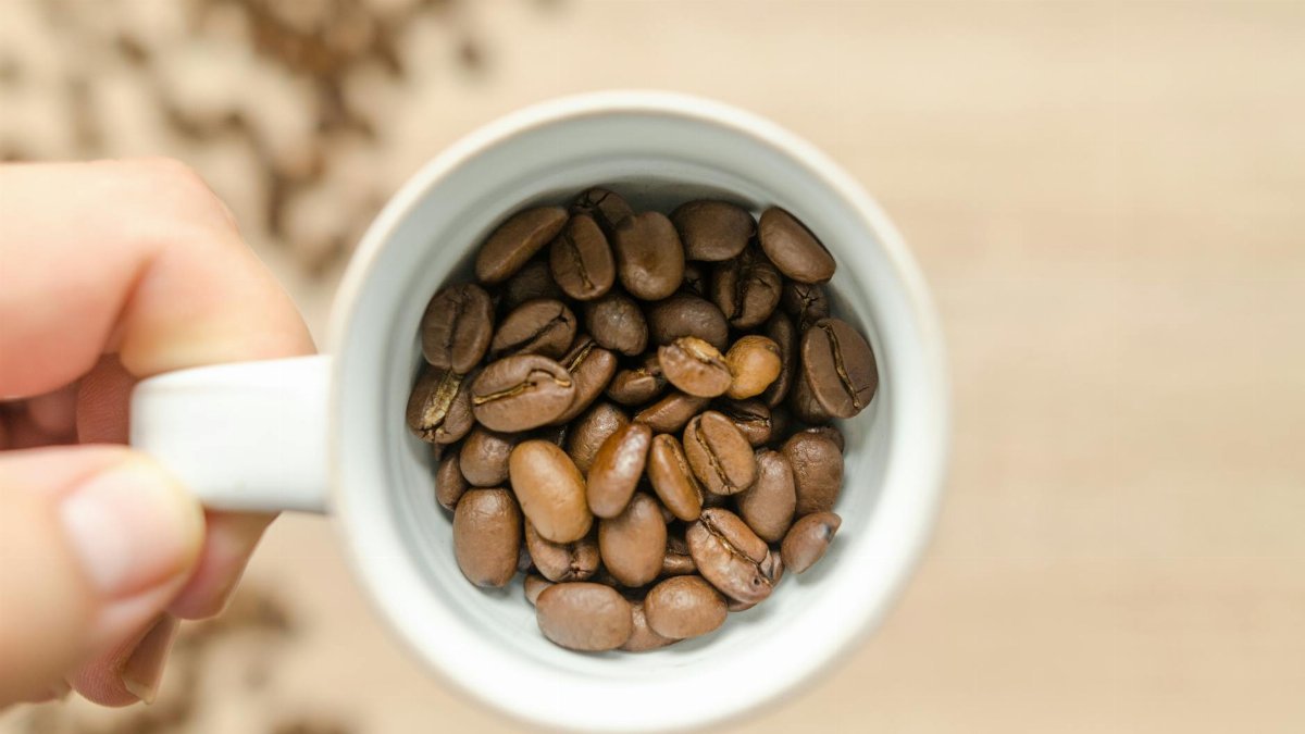 Hand holding a white cup filled with aromatic roasted coffee beans. Perfect for coffee lovers.