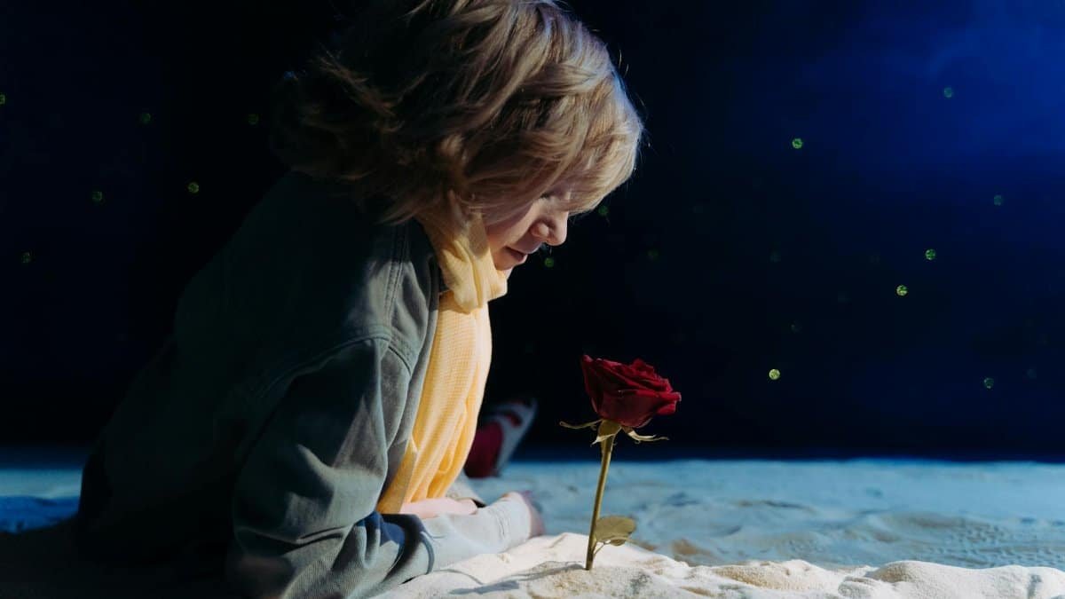 A child in cosplay as the Little Prince gazing at a single red rose against a starry night backdrop.