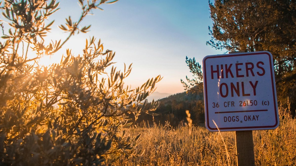 Sunlit hikers-only sign amidst autumn foliage in Reno, NV.