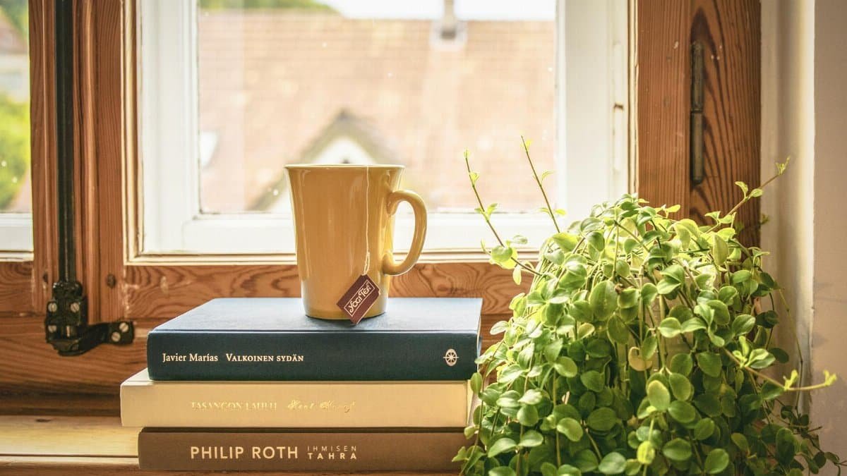 A warm scene featuring a mug and books by a sunny window, perfect for relaxation and reading.