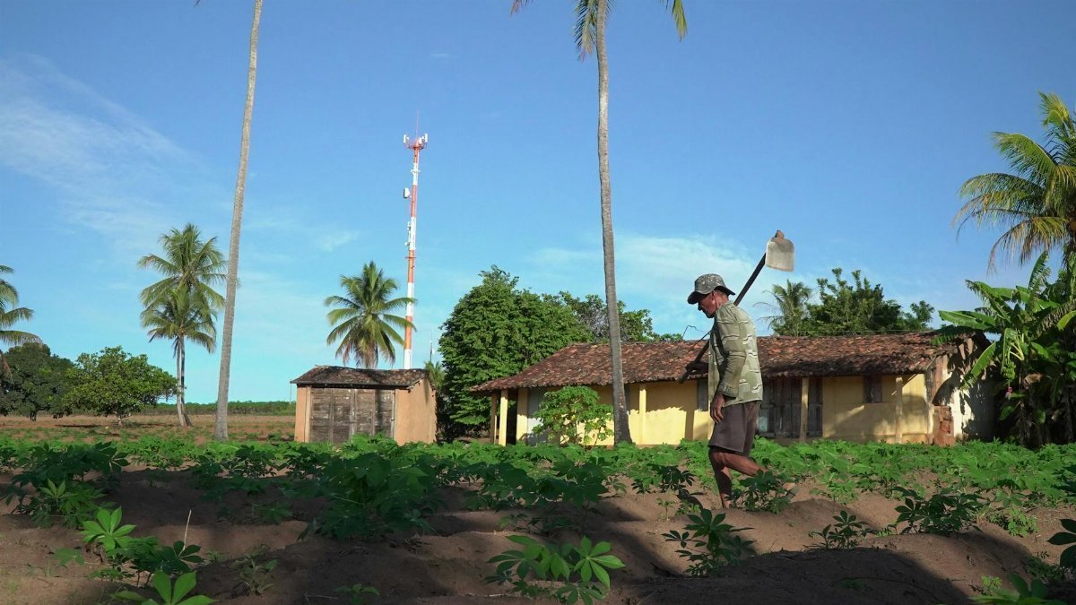 Produtor rural / agricultor na roça