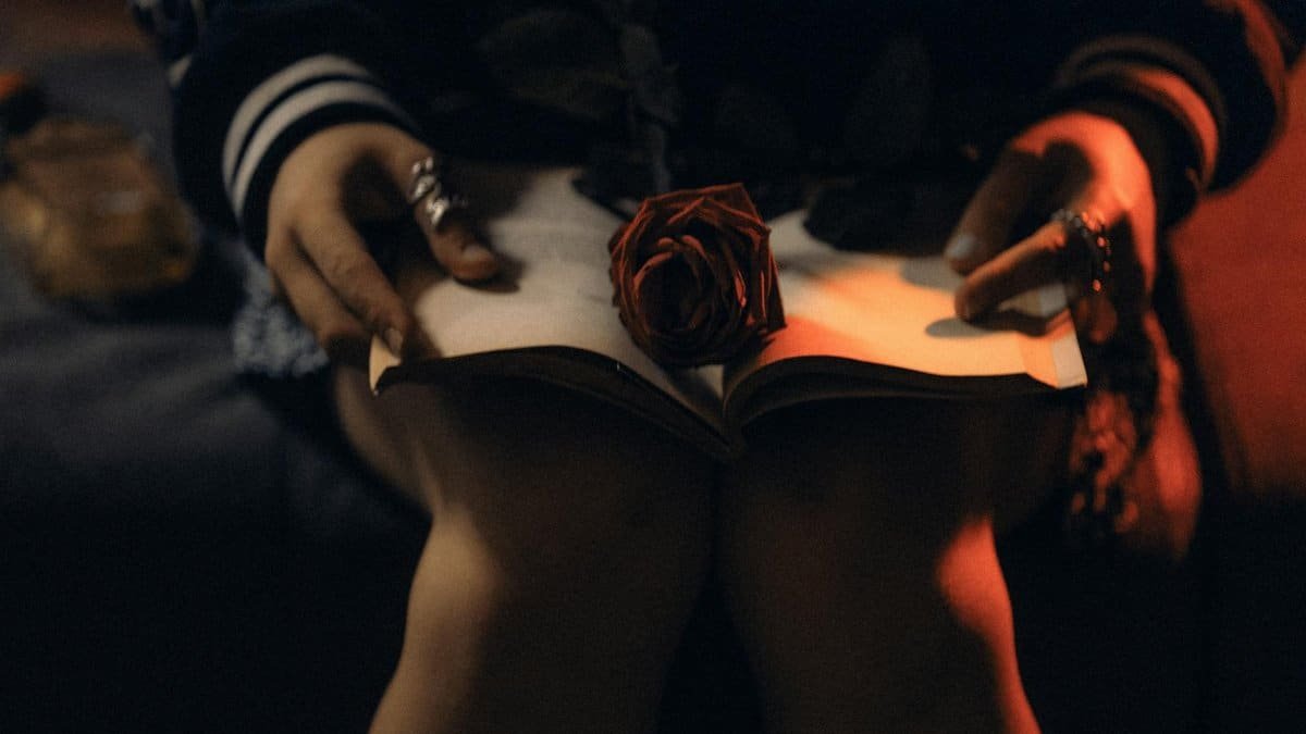 A dimly lit, artistic close-up of hands holding a book with a rose, creating a moody atmosphere.