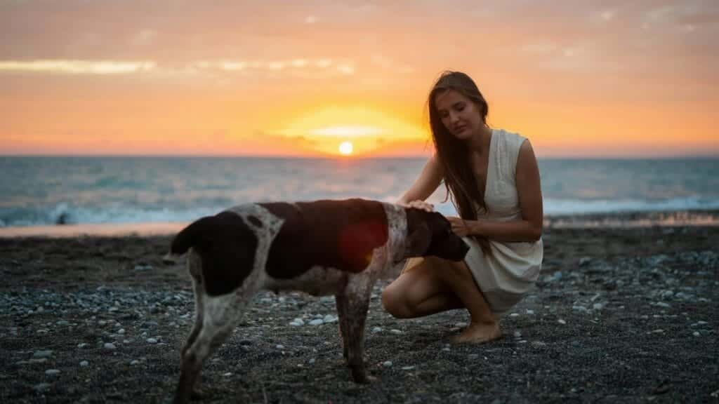 A serene moment with a woman petting a dog on a beach during a beautiful sunset.