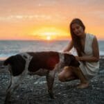 A serene moment with a woman petting a dog on a beach during a beautiful sunset.