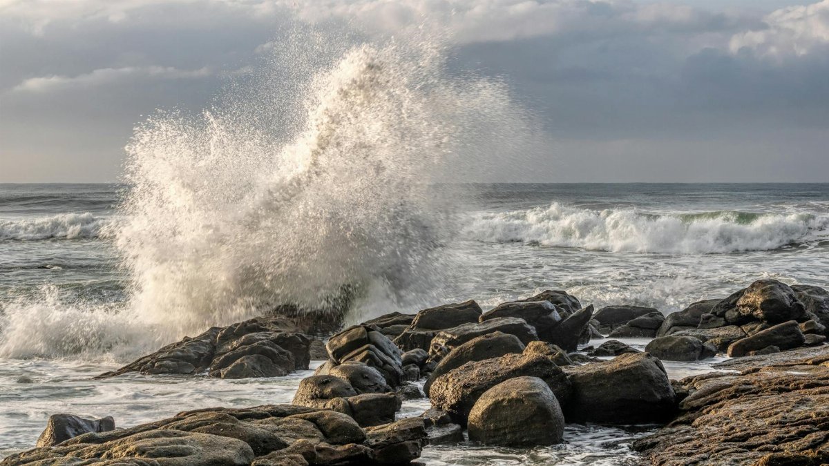 Rhythm of the Sea : The Splashing Symphony