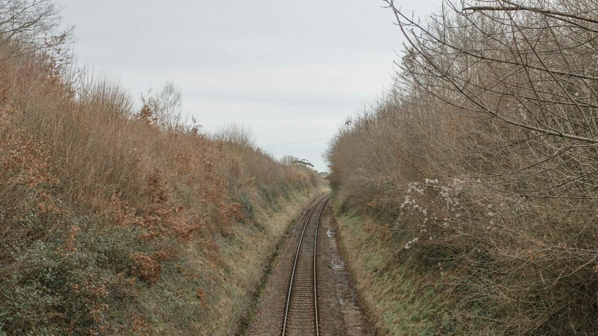 A tranquil railway track cuts through bare winter trees and grasslands.