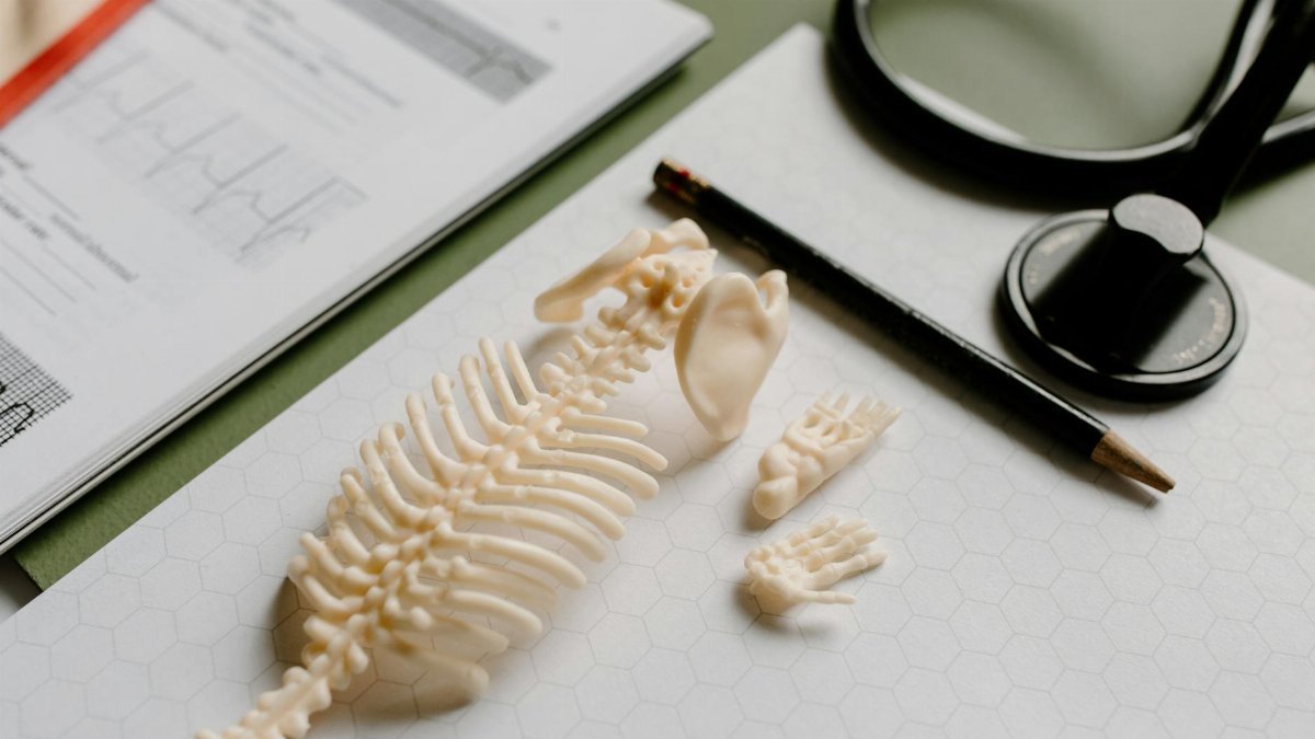 Flat lay of medical study materials including skeleton model and stethoscope on graph paper.