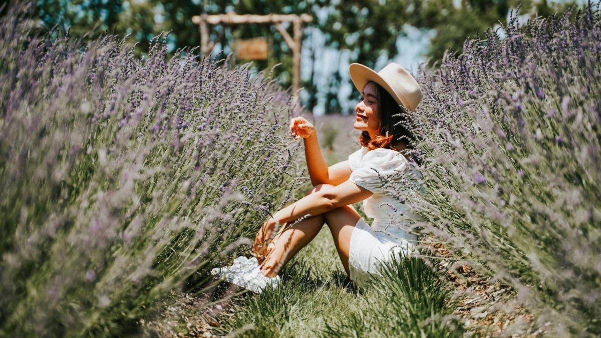 A woman in a white dress enjoys the sun sitting in a picturesque lavender field.