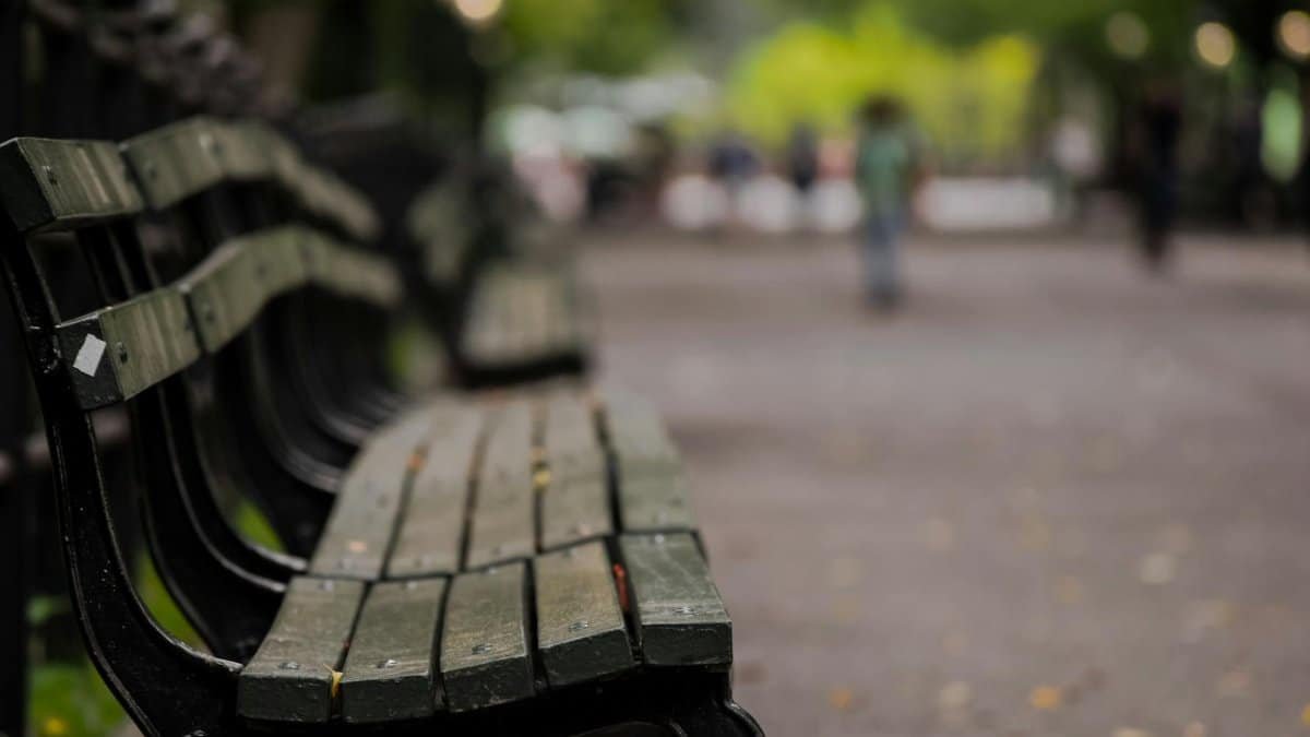 Peaceful park bench lined pathway in Central Park, New York City, with soft bokeh effect.
